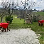Le Scintille Di Tardivo Viviana Nyaraló San Ginesio