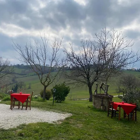 Le Scintille Di Tardivo Viviana * San Ginesio