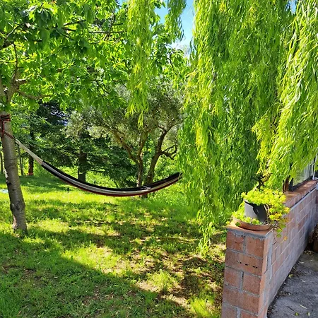 Le Scintille * San Ginesio