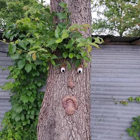 Le Scintille Holiday home San Ginesio